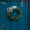Budget ???? Kaemingk 60cm Luxury Wreath With Frosted White Berry Decorations ???? 1 Budget ???? Kaemingk 60cm Luxury Wreath With Frosted White Berry Decorations ???? -Konstsmide Shop 900495Wreathinsitu 2