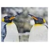 Cheapest 🎉 Premier Penguin Couple 🔔 Christmas Wall Art Canvas With White Twinkling Lights ✨ -Konstsmide Shop Couple Penguins Canvas