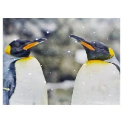 Cheapest 🎉 Premier Penguin Couple 🔔 Christmas Wall Art Canvas With White Twinkling Lights ✨