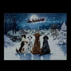 Best Pirce 👏 Snowtime 40cm 🎄 Christmas 🐶 Dogs Fibre Optic Lit Wall Canvas 🔔