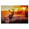 Deals ???? Premier 60cm Reindeer Sunrise Lit ???? Christmas Wall Canvas ???? -Konstsmide Shop LB191492 1