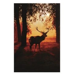 Outlet 🎁 Premier Reindeer Lit 🎅 Christmas Canvas 🥰