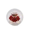 Coupon ???? Festive Poinsettia And Robin Crackle Effect LED Lit Ball ????